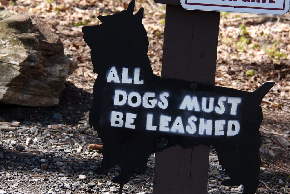 All Dogs Must Be Leashed all dogs must be leashed scotty dog sign