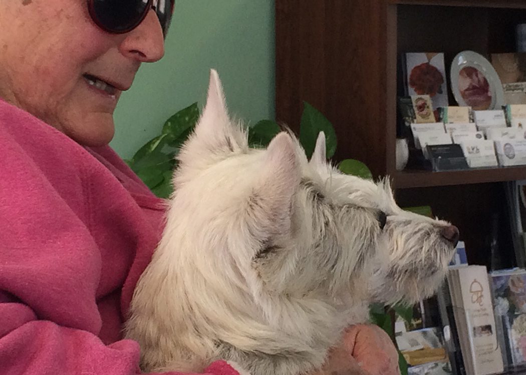 Eleanor Doto Remembered ellie holding her two scottish terriers